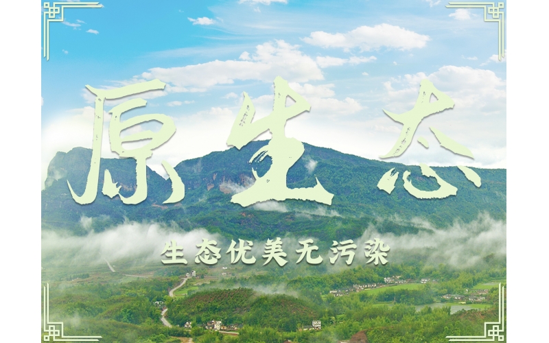 百業(yè)待興！為何白酒行業(yè)如此堅(jiān)挺？南臺(tái)酒業(yè)為你揭秘